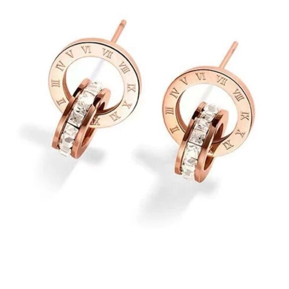 ✨🆕✨ Elegant Chic ROSEGOLD Roman Numerals Titanium Steel Stud Earrings ✨ - Picture 1 of 13